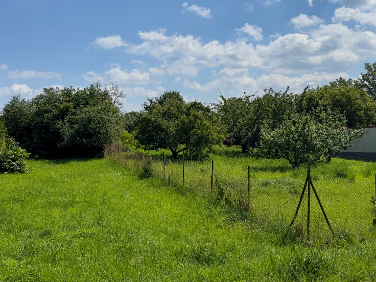 Großes Grundstück mit Ställen und Werkstätten