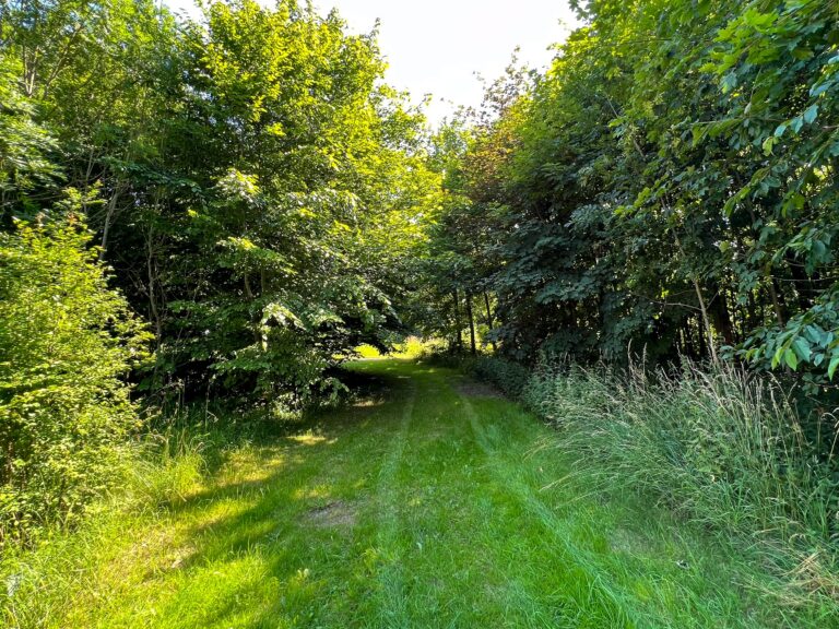 Großzügiges Grundstück mit Altbestand – Ideal für Landwirte in Radlow! 